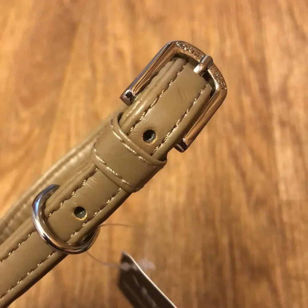 Martha Stewart Tan and Silver Leather Buckle Dog Collar Size 12